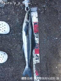 ¥¹¥®¤Á¤ã¤ó