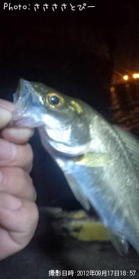 �����Х�