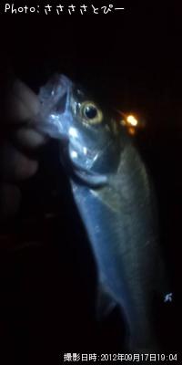 �����Х�