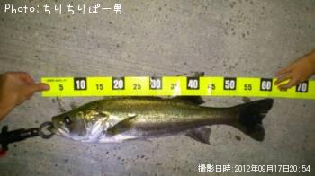 �����Х�