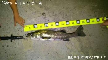 �����Х�