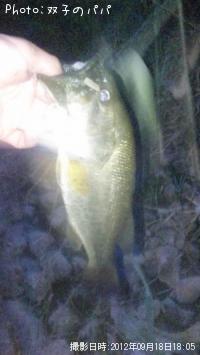 �֥�å��Х�