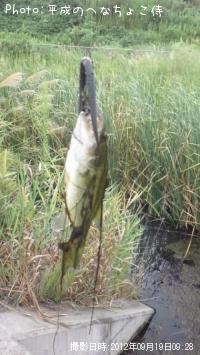 ¥Ö¥é¥Ã¥¯¥Ð¥¹