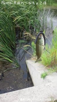 ¥Ö¥é¥Ã¥¯¥Ð¥¹