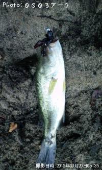 �֥�å��Х�