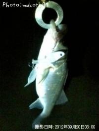 �����Х�