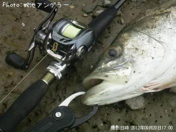 �����Х�