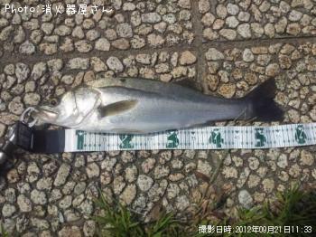 �����Х�