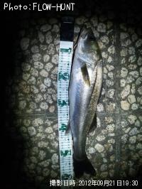 �����Х�