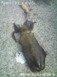 �����ꥤ��