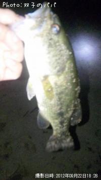 ¥Ö¥é¥Ã¥¯¥Ð¥¹