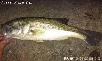 �֥�å��Х�