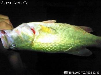 �֥�å��Х�