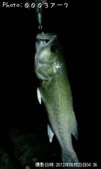 �֥�å��Х�