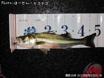 �����Х�