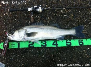 �����Х�