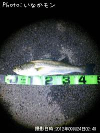 �����Х�