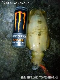 �����ꥤ��