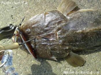 �ڥޥ�����