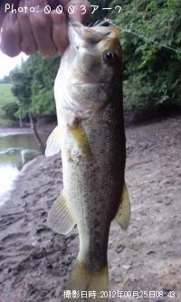 �֥�å��Х�