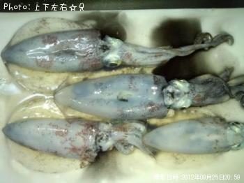 �����ꥤ��