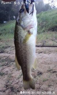 �֥�å��Х�