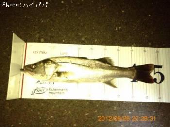 �����Х�