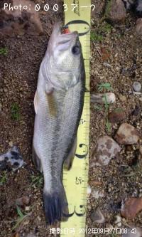 �֥�å��Х�