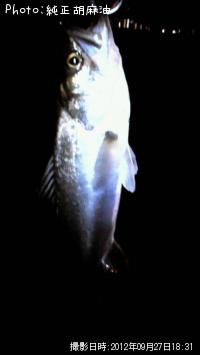 �����Х�