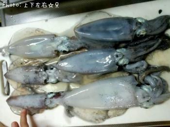 ¥¢¥ª¥ê¥¤¥«