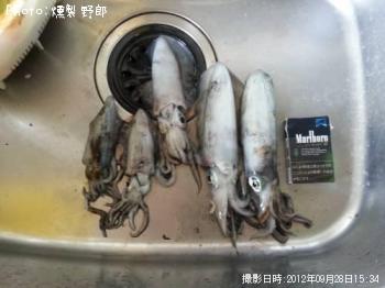 ¥¢¥ª¥ê¥¤¥«