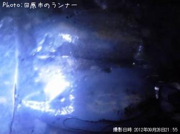 ¥¢¥ª¥ê¥¤¥«