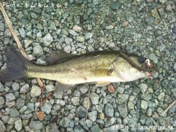 �֥�å��Х�