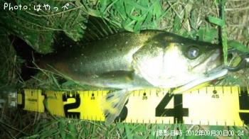 �����Х�