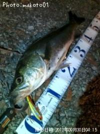 �����Х�