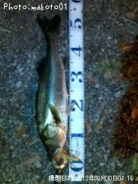 �����Х�