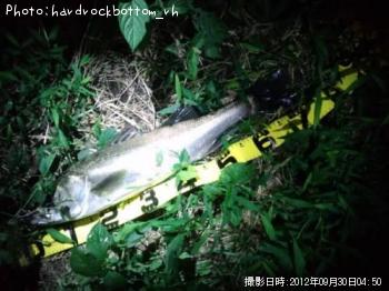 �����Х�