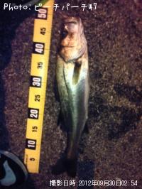 �����Х�