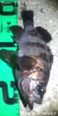 ���ꥢ��Х�