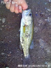 �֥�å��Х�