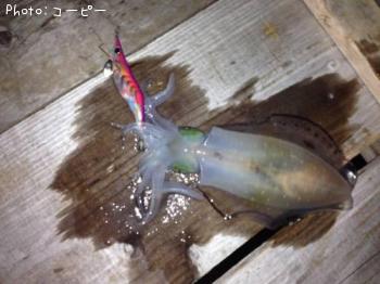 �����ꥤ��