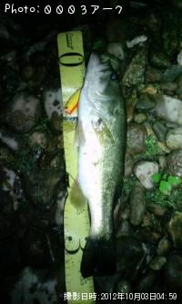 �֥�å��Х�