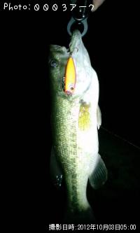 �֥�å��Х�