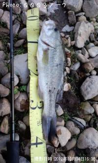 ¥Ö¥é¥Ã¥¯¥Ð¥¹