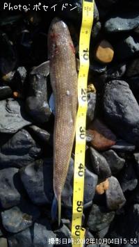 ������������