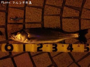 �����Х�