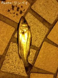 �����Х�