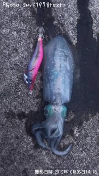 ¥¢¥ª¥ê¥¤¥«