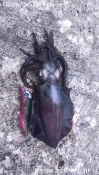 �����ꥤ��