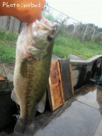 ¥Ö¥é¥Ã¥¯¥Ð¥¹